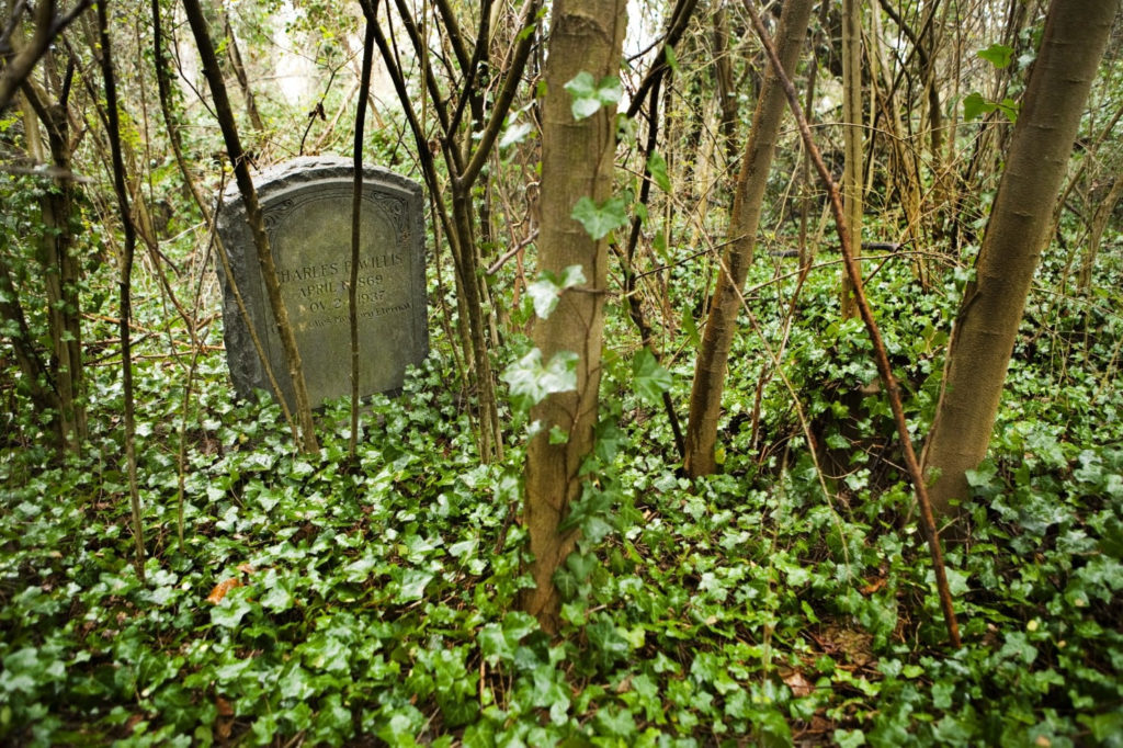 Imagine a cemetery where gravestones disappear under vines, weeds and debris; where crypts are cracked open and exposed to robbers and the elements.