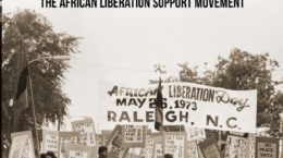 Book cover for Dialectics of Liberation by Abdul Alkalimat, featuring a historic black-and-white photo of a civil rights protest with people holding banners and signs, including one reading African Liberation Day and referencing the African Liberation Support Committee.