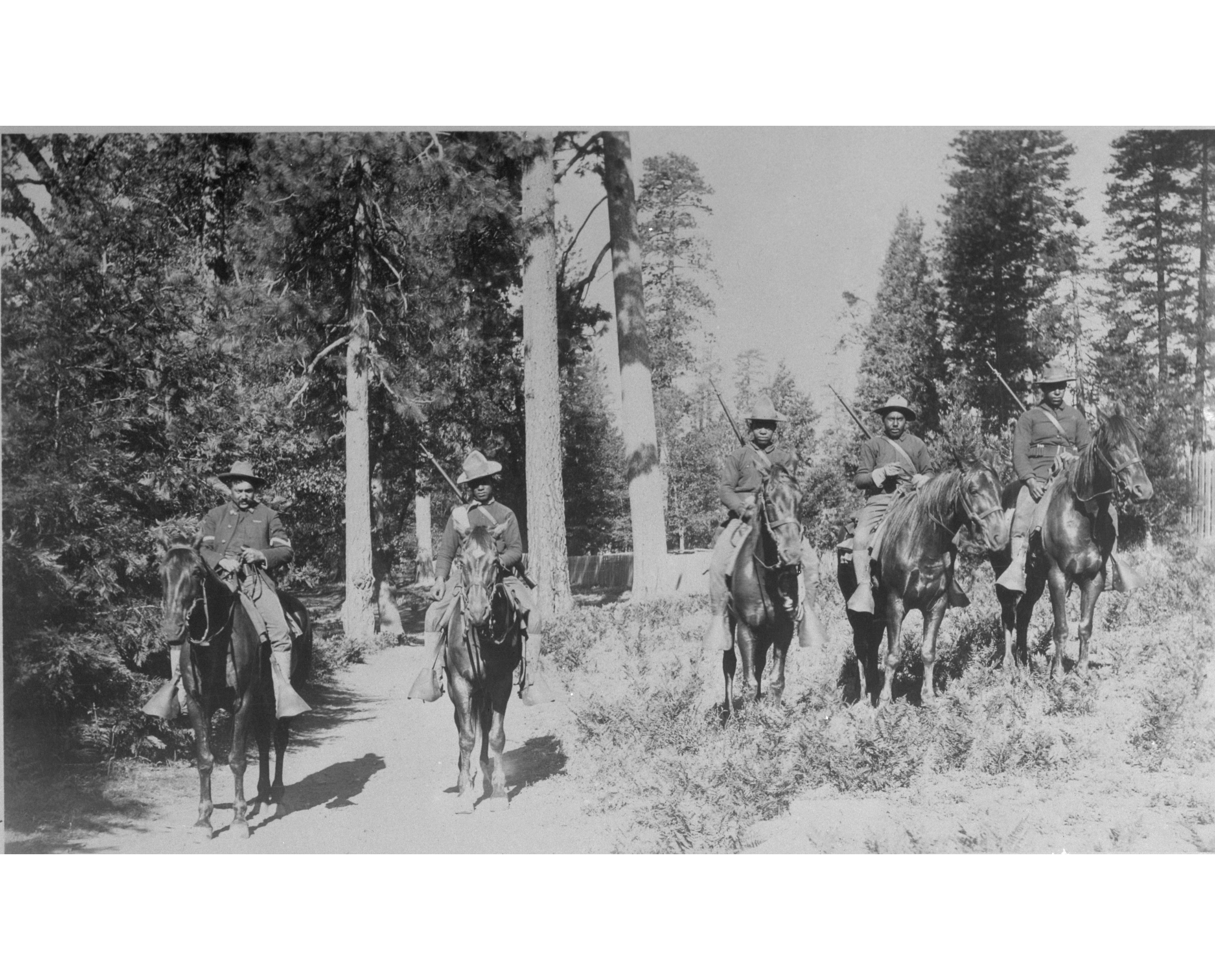 Buffalo Soldiers of the 24th Infantry of the U.S. Army at Yosemite National Park, California carrying out mounted patrol duties, 1899. Yosemite National Park Historic Photo Collection, National Park Service Buffalo Soldiers of the 24th Infantry of the U.S. Army at Yosemite National Park, California carrying out mounted patrol duties, 1899. Yosemite National Park Historic Photo Collection, National Park Service Black and White soldiers in separate units of the U.S. Army were among the first park rangers. African American soldiers known as the Buffalo Soldiers were among some of the first of these rangers to patrol parts of the West. Black soldiers got the name Buffalo Soldiers from Native American groups because they saw their dark, curly hair as resembling that of a buffalo. These troops protected Yosemite and the Sequoia national parks in 1899, 1903, and 1904. Among their activities beyond their law enforcement duties, the Buffalo Soldiers were involved in completing the first usable road into Giant Forest and the first trail to the top of Mt. Whitney in Sequoia National Park in 1903. They built an arboretum in Yosemite National Park around the Merced River south fork in 1904 which included the first marked nature trail in the national park system.