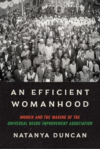 An Efficient Womanhood An Efficient Womanhood