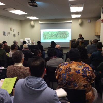 BHM Presentation1 BHM Presentation1